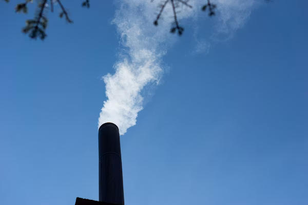 Chimney Inspection Service